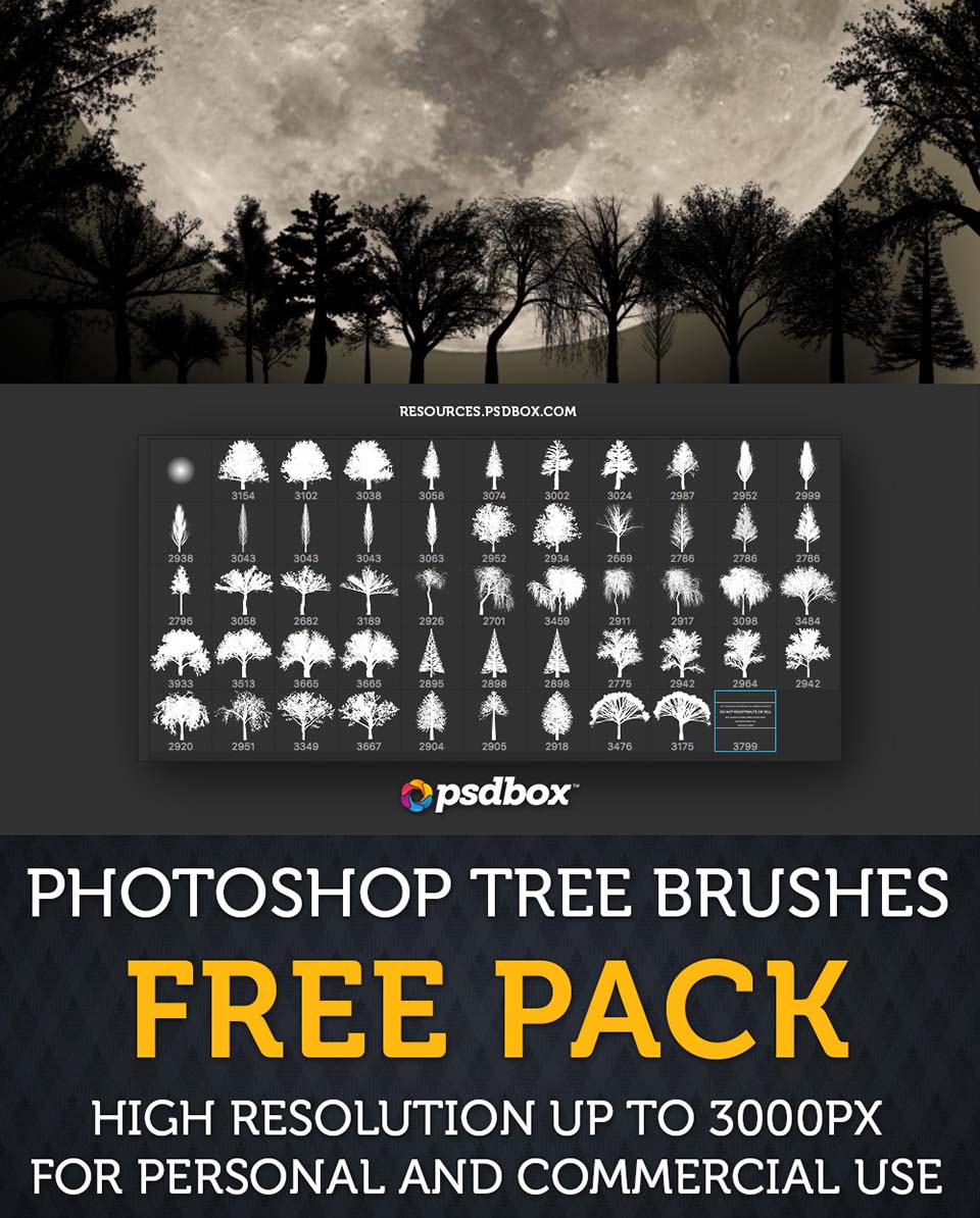 abr brushes for photoshop cs6 free download