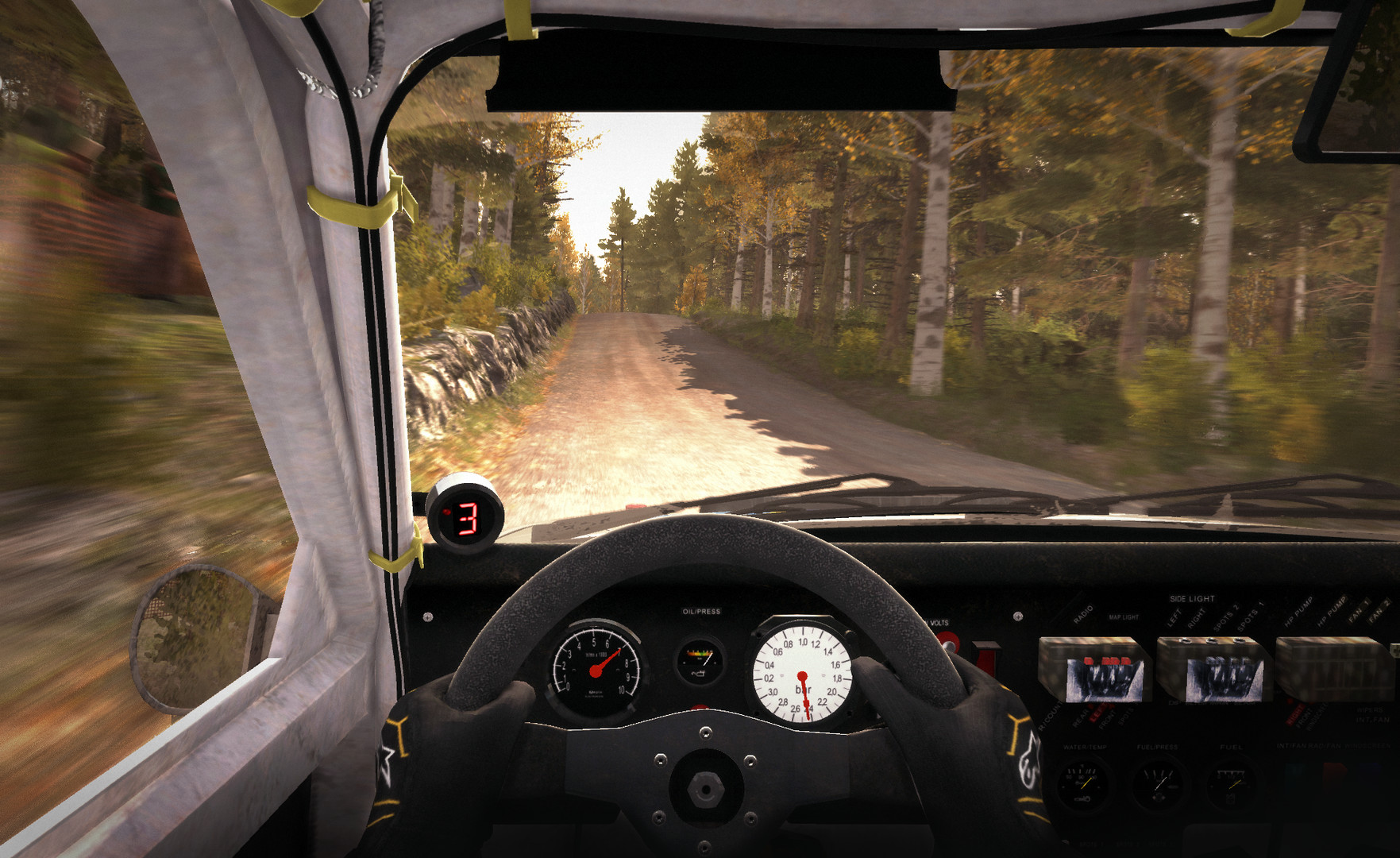 DiRT Rally [amd64] [RUS / ENG / Multi7] [Wrapper] для Linux